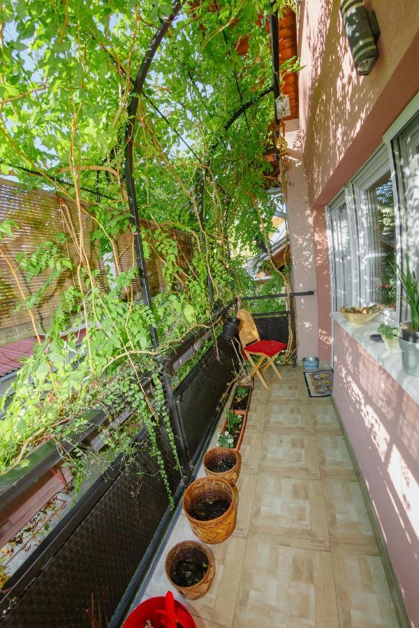 Apartman Zamak Sombor Exterior foto